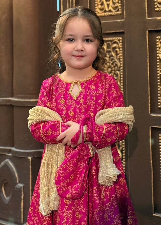 Pakistani Printed Rawsilk Frock