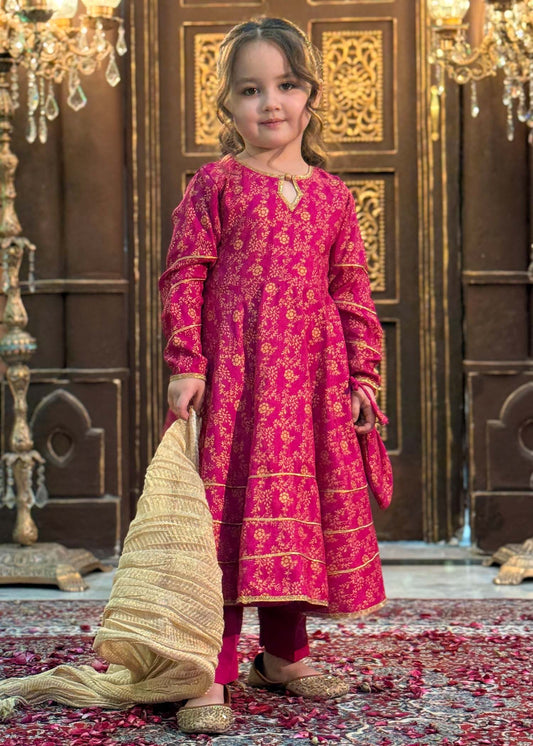 Pakistani Printed Rawsilk Frock