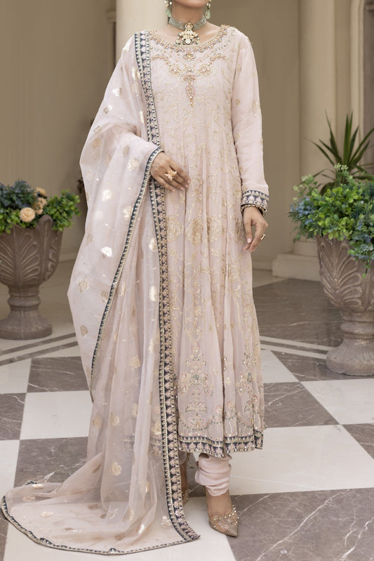 womens pret chiffon dress