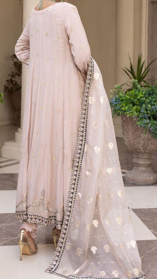 womens pret chiffon dress