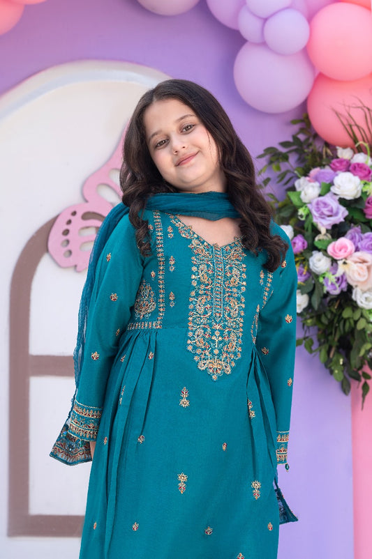 chikankari sequin embroidered frock