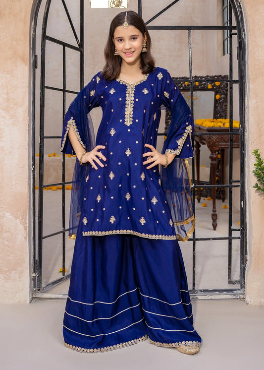 Blue Rawsilk Embroidered 3 Piece Gharara