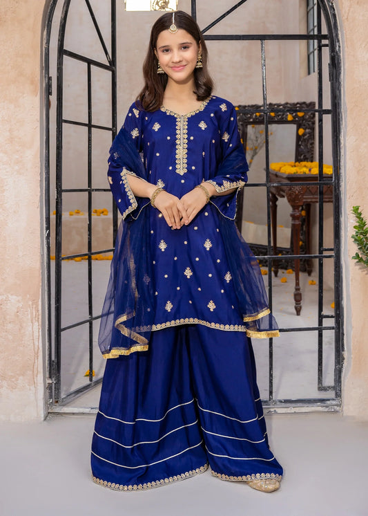 Blue Rawsilk Embroidered 3 Piece Gharara